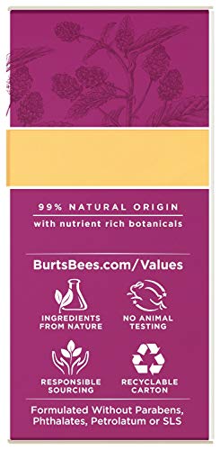Burts Bees Renewal Cleanser, 6 Ounces