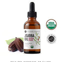 Jojoba Oil (4 oz), USDA Certified Organic, 100% Pure, Cold Pressed, Unrefined. Revitalizes Hair and Gives Skin a Radiant, Youthful Look. Great treatment for Face, Lips, Cuticles, Stretch Marks, Beard