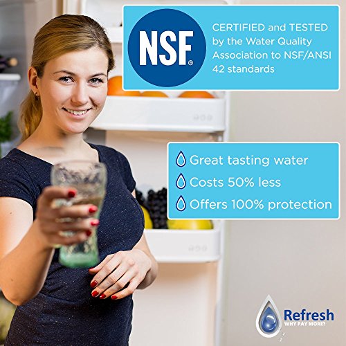 Repuesto para filtro de agua refrigerador Frigidaire WF1CB, RF100, RG100, NGRG2000, RF-100, RG-100, NGRG-2000 y Kenmore 9910, 469910, 46-9910