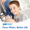 ICEPURE MSWF - Filtro de agua para frigorífico compatible con GE MSWF, 101820A, 101821B, RWF1500A, 3 unidades