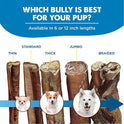 Best Bully Sticks 100% Natural 6-Inch Bully Sticks (8oz. Bag)