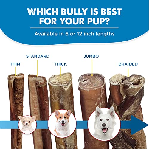 Best Bully Sticks 100% Natural 6-Inch Bully Sticks (8oz. Bag)