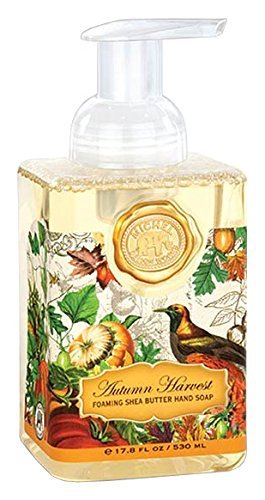 Michel Design Works Foaming Hand Soap