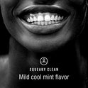Fresh Breath Oral Mouth Rinse - Dentist Recommended, Cool Minty Flavor - Treats Bad Breath - Squeaky Clean 16oz