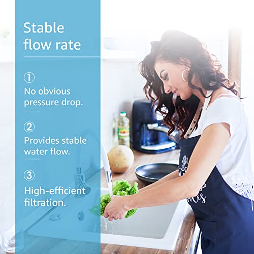 AQUACREST Water Filter Replacement for Insinkerator F-1000, Sub Zero 4204490, Aqua-Pure Easy Complete , 1 Pack by AQUACREST
