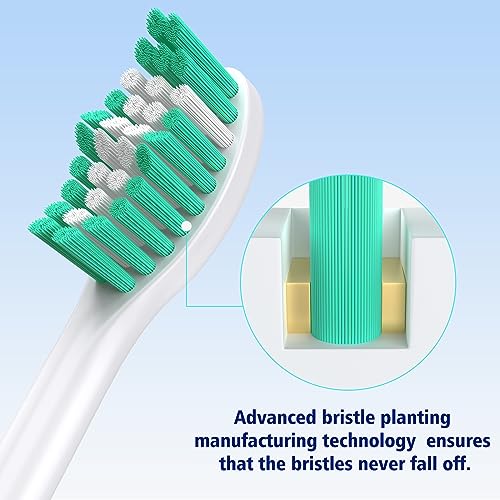 Toptheway Cabezales de cepillo para polvo de repuesto compatibles con Sonicare E-Series HX7022/66, compatible con Sonicare Essence, Xtreme, Elite, Advance y CleanCare Asas atornillables, 6 unidades