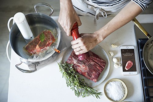 ChefSteps CS10001 Joule Sous Vide, blanco/acero