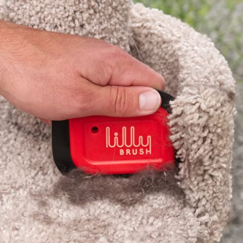 Lilly Brush Mini removedor de Pelo para Mascotas, removedor de Pelo de Coche, removedor de Pelo de Mascotas para Detalles automáticos, sofá, Muebles, Pelusa, Alfombra