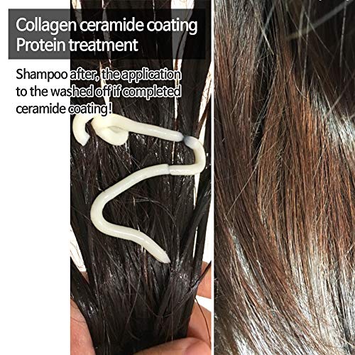 [Elizavecca] CER-100 Tratamiento de proteínas para el cabello con revestimiento de colágeno, 100 ml