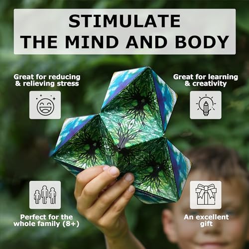 Shashibo Shape Shifting Box