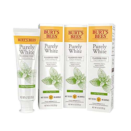 Burt's Bees pasta dental