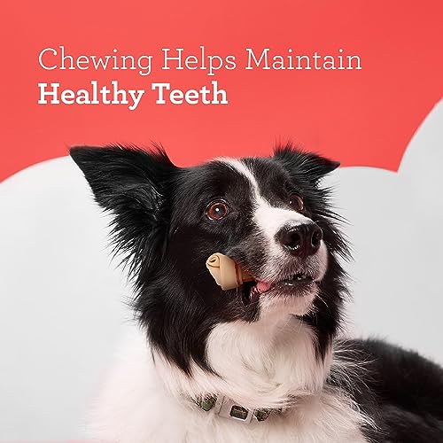 DreamBone Chicken Dog Chew, Mini, 36 pieces/pack