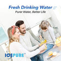 ICEPURE Filtro de agua para toda la casa de 5 micras, 10 x 4.5 pulgadas, compatible con GE FXHTC, GXWH40L, RFC-BBSA, W50PEHD, GXWH35F, GNWH38S, Dupont WFHD13001, R50-BB, paquete de 2
