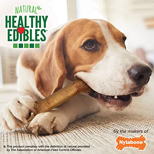 Nylabone Healthy comestibles masticables con sabor a tocino, 2 unidades