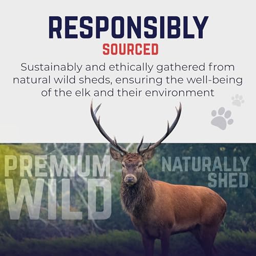 Cuernos de alce premium para perros | Todos los huesos de cuernos naturales mastican hueso de alce | saludable y de larga duración para masticadores agresivos | Salvaje en Estados Unidos – Propiedad de veteranos