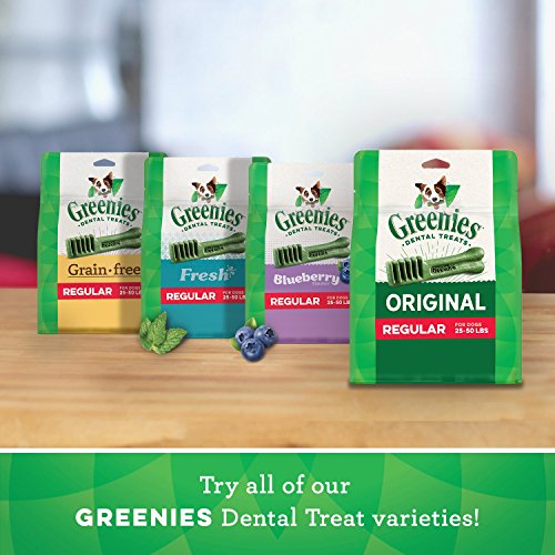 Greenies ScaryBerry and Blueberry Natural Dental Dog Treats, 6oz & 12oz Packs