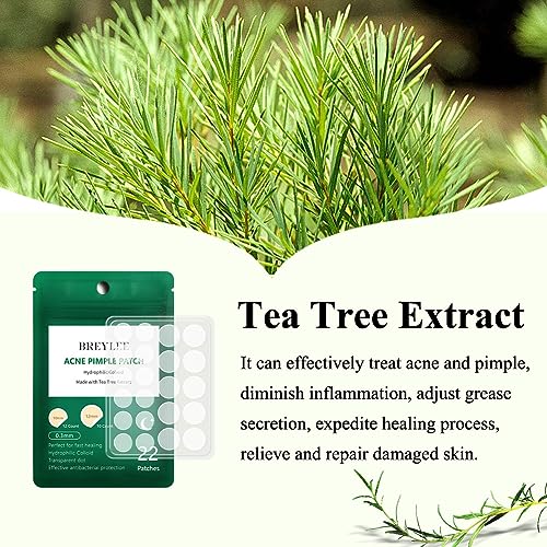BREYLEE Acne Pimple Patch, Pimple Patch Acne Pimple Healing Patch Series