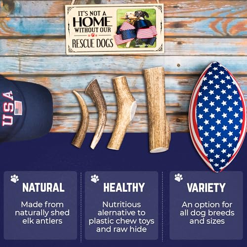 Cuernos de alce premium para perros | Todos los huesos de cuernos naturales mastican hueso de alce | saludable y de larga duración para masticadores agresivos | Salvaje en Estados Unidos – Propiedad de veteranos