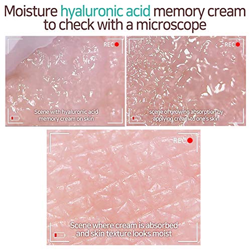 Elizavecca Moisture Hyaluronic Acid Memory Cream - anti aging cream : facial cream for wrinkles - water cream