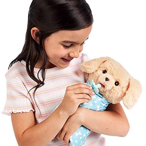 Little Live Pets Cozy Dozy Cubbles The Bear
