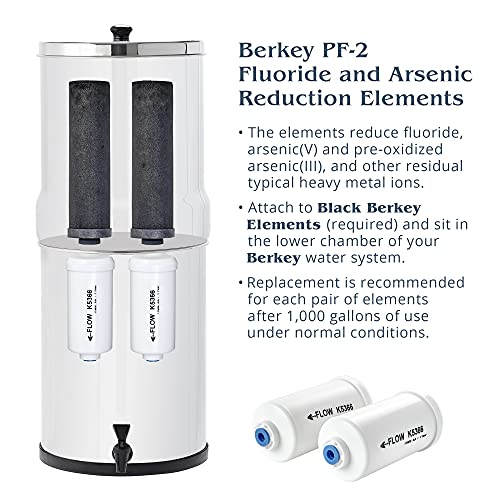 berkey BK4 X 2-bb Big berkey sSistema de filtrado de agua potable con 4 filtros – 2 Filtros De Color Negro y 2 filtros de flúor 2,25 Galón8,5 L