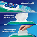 Clorox Disinfecting Bleach Free Cleaning Wipes, 75 Wipes, Pack Of 3 (Packaging May Vary)