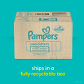 Pampers Swaddlers Pampers Unisex