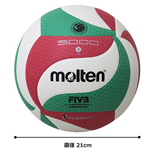 Molten Volleybal V5M5000