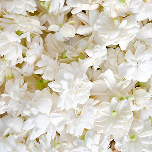 Sung by Alfred Sung Eau De Toilette en spray
