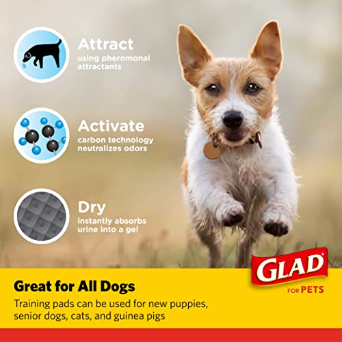 Glad for Pets Activated Carbon Training Pads