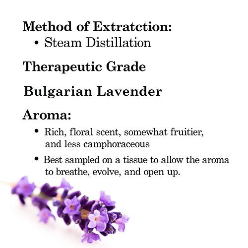 Majestic Pure Bulgarian Lavender Essential Oil, 100% Pure and Natural with Therapeutic Grade, Premium Quality Bulgarian Lavender Oil, 1 fl. oz.