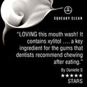 Fresh Breath Oral Mouth Rinse - Dentist Recommended, Cool Minty Flavor - Treats Bad Breath - Squeaky Clean 16oz