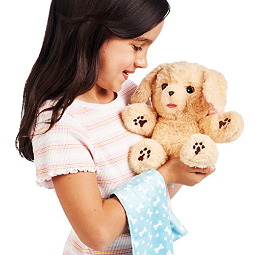 Little Live Pets Cozy Dozy Cubbles The Bear