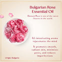 SAFA Rosé Oil - Organic Oil for Face, Body, Hair, Nails & Aromatherapy | Natural Blend of Bulgarian Damask Rose, Moroccan Argan, Sweet Almond, Vitamin E, & Apricot Oil | Moisturizer for Women & Men