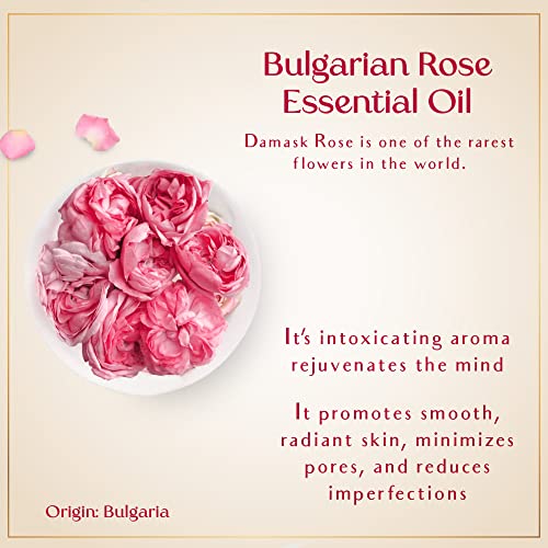 SAFA Rosé Oil - Organic Oil for Face, Body, Hair, Nails & Aromatherapy | Natural Blend of Bulgarian Damask Rose, Moroccan Argan, Sweet Almond, Vitamin E, & Apricot Oil | Moisturizer for Women & Men