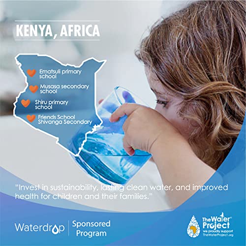 Waterdrop Filtros de agua MWF para refrigeradores GE, repuesto para filtro de agua GE MWF y GE SmartWater MWFP, MWFA, GWF, HDX FMG-1, 197D6321P006, Kenmore 9991, RWF1060, paquete de 3