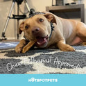 Hotspot Pets - Tiras de tráquea para perros de 15,24 cm (15,24 cm)