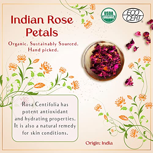 SAFA Rosé Oil - Organic Oil for Face, Body, Hair, Nails & Aromatherapy | Natural Blend of Bulgarian Damask Rose, Moroccan Argan, Sweet Almond, Vitamin E, & Apricot Oil | Moisturizer for Women & Men