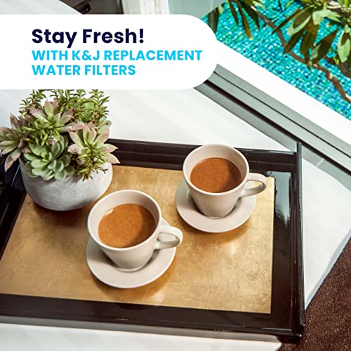 Breville BWF100 - Filtros de agua (6 unidades)