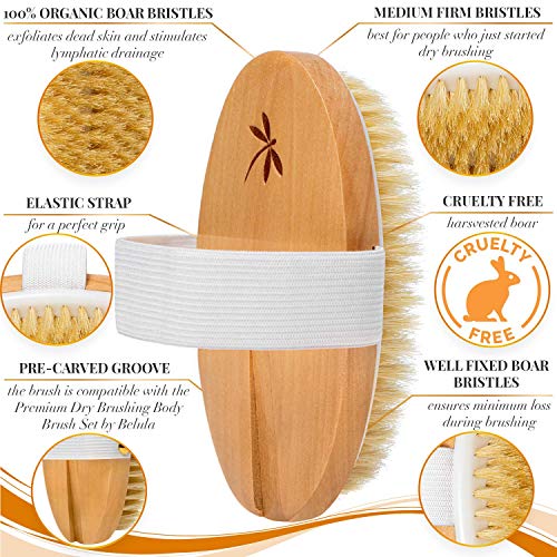 Cepillo corporal de cepillado en seco. Cepillo seco firme para celulitis y linfáticos.
