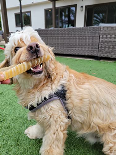 Hotspot Pets - Tiras de tráquea para perros de 15,24 cm (15,24 cm)