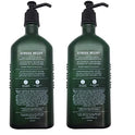 Bath and Body Works Aromatherapy Body Lotion Eucalyptus Spearmint (2-Pack), 6.5 oz each