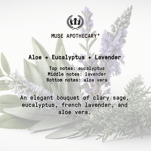 Muse Bath Apothecary Hand Ritual - Jabón de manos aromático y nutritivo, 16 oz, impregnado con aceites esenciales naturales