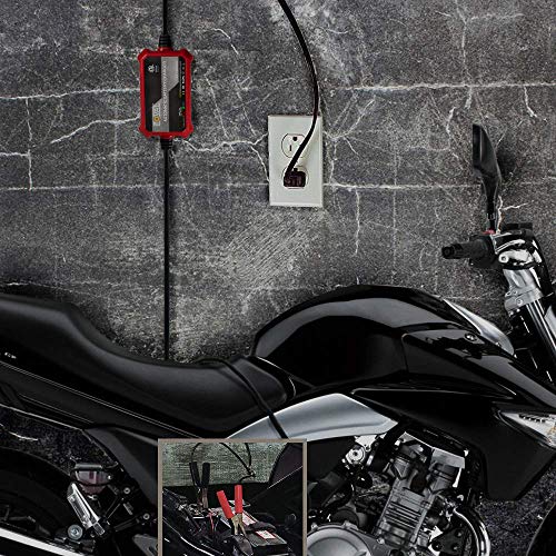 Foval Cargador de batería automático de 12 V, 1000 mA