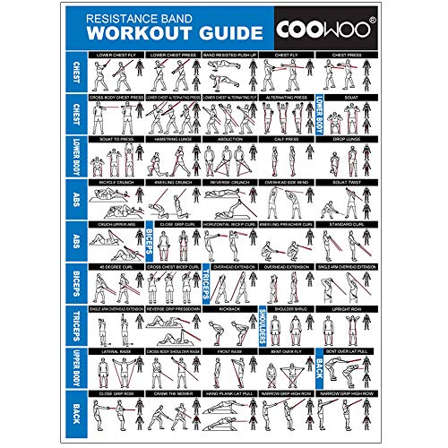 COOWOO 2020 - Juego de bandas de resistencia, bandas de ejercicio, correas de tobillo para piernas, gimnasio perfecto para brazos, piernas y entrenamiento de cuerpo completo, bolsa de transporte incluida
